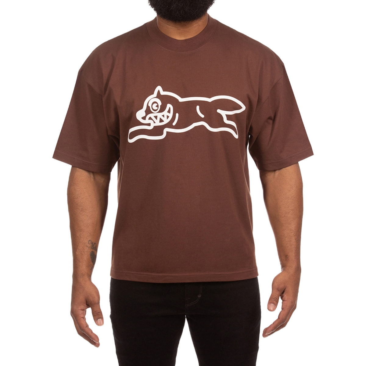 IC STREET LIFE SS KNIT (CHESTNUT)