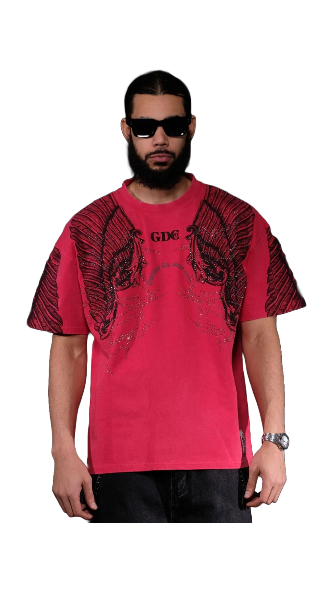 GZ "RED WINGS" TEE