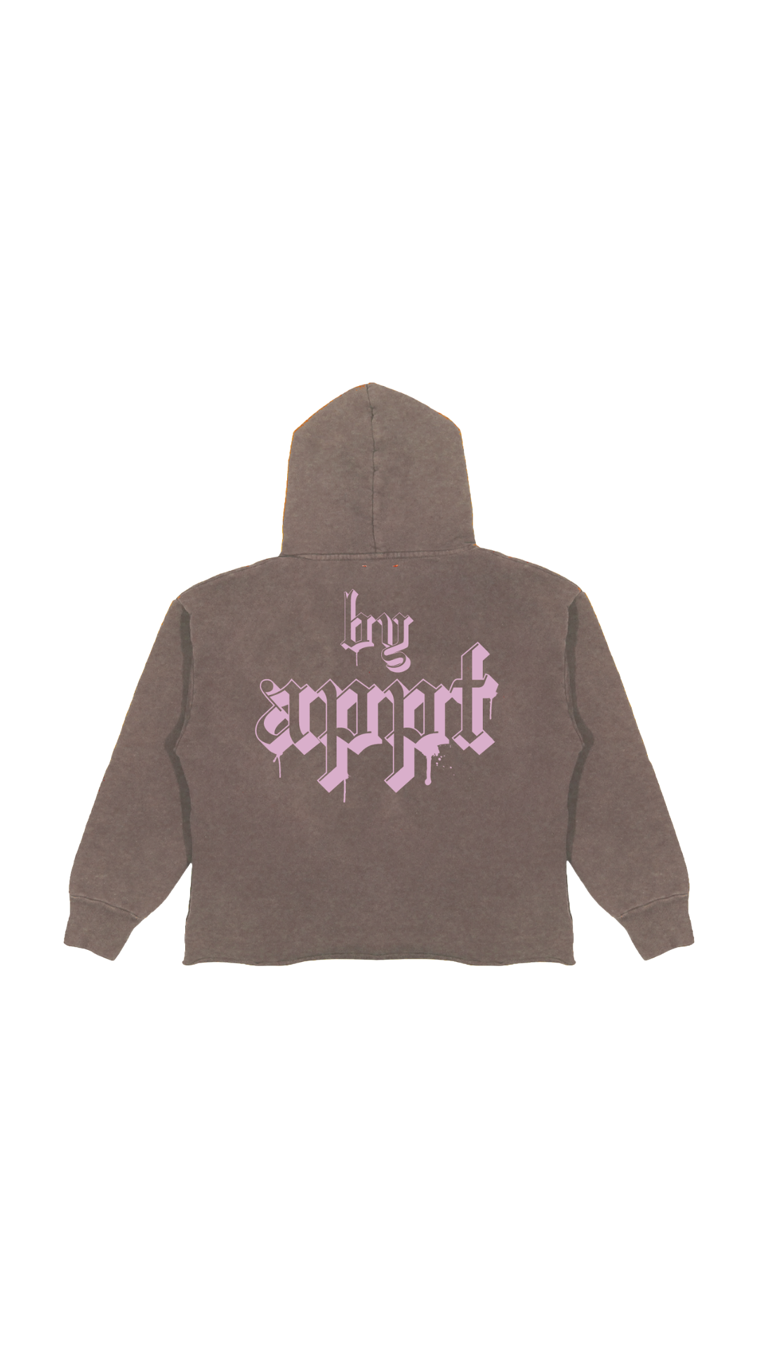 BAO BLOSSOM HOODIE (BROWN)