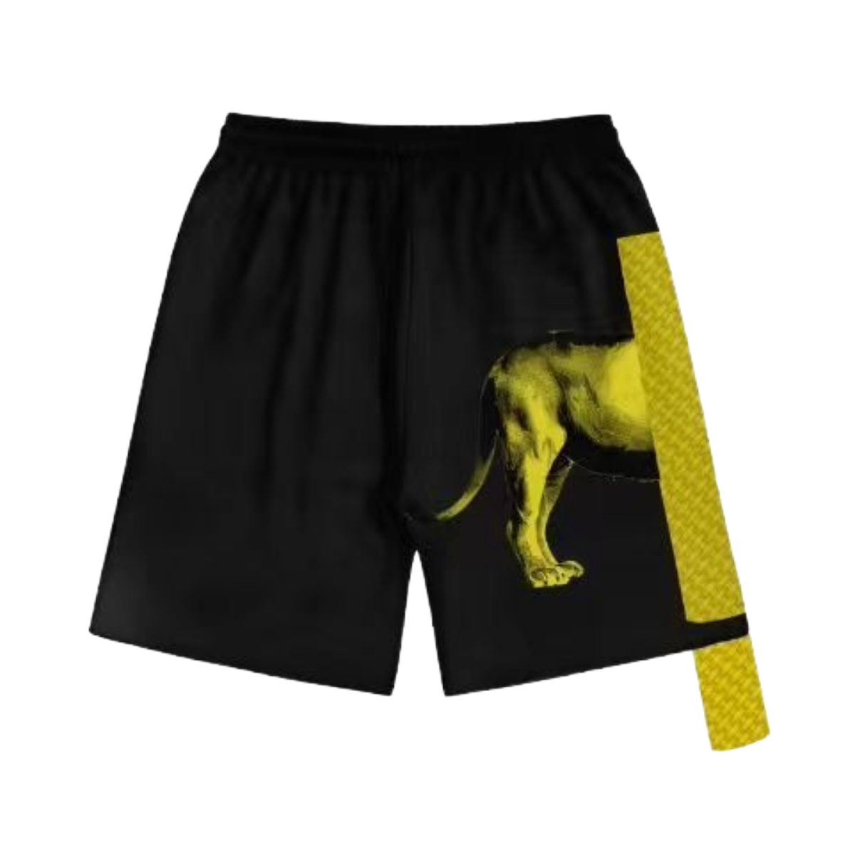 SD 'LION ORDER' SHORTS (BLK/YLW)