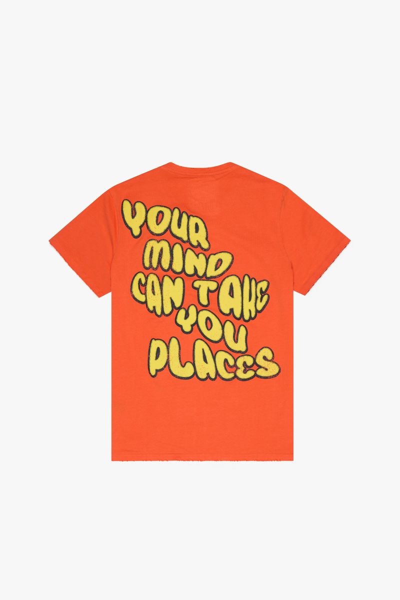 VALABASAS "GROWING PLACES" VINTAGE FLAME ORANGE