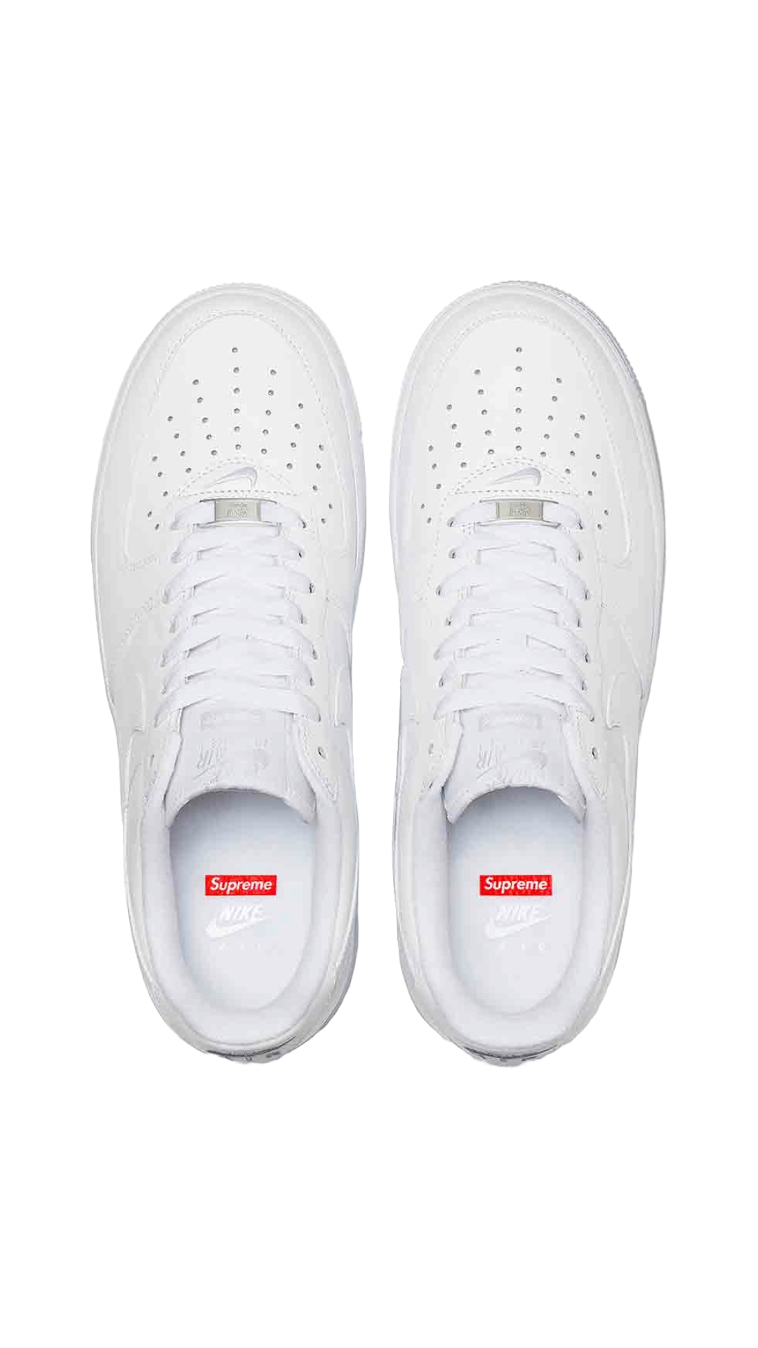 WHITE SUPREME FORCES