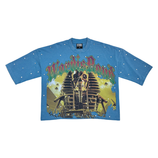 STRAY CROP FIT TEE - BLUE ST1367