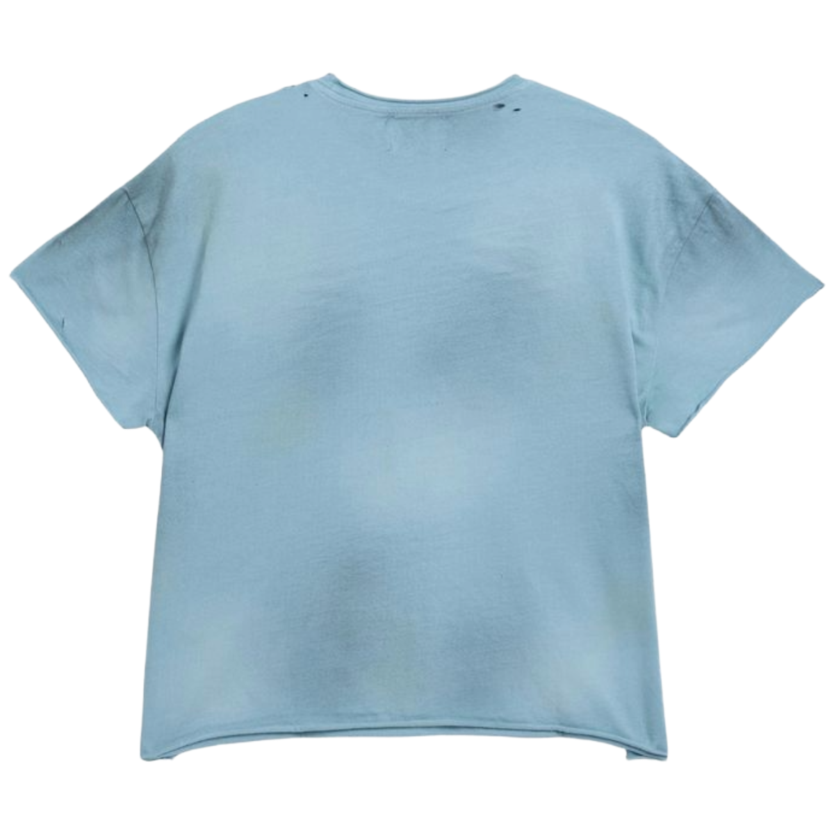 FS 'SUMMER SITUATED' SS TEE (BLUE)