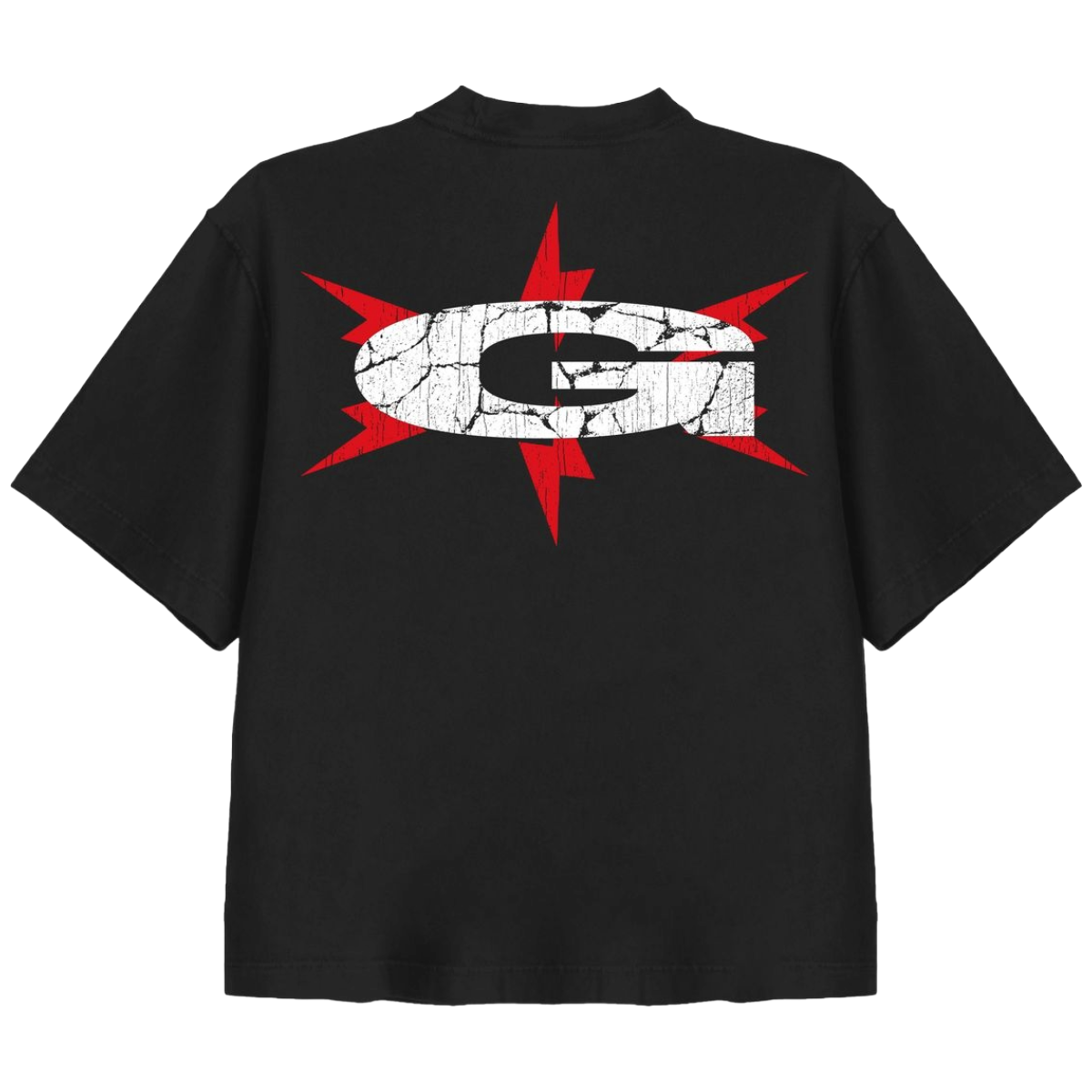 GALA 'DISGUSTING' SS TEE (BLK)