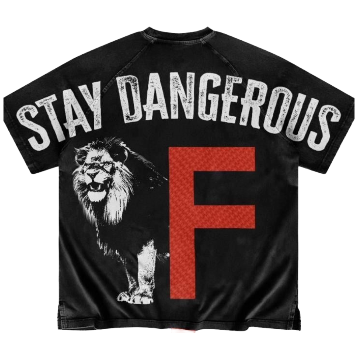 SD 'LION ORDER' SS TEE (BLK/RED)