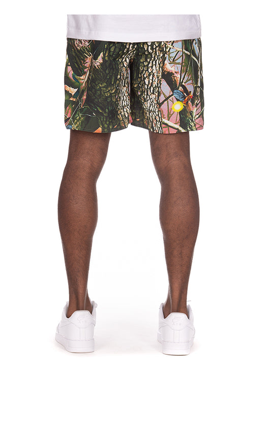 BBC TRAIL MIX SHORTS